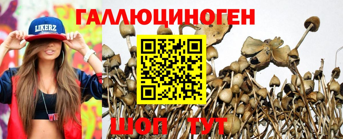 Великий Новгород  Псилоцибиновые грибы мухоморы  Вход с VPN 